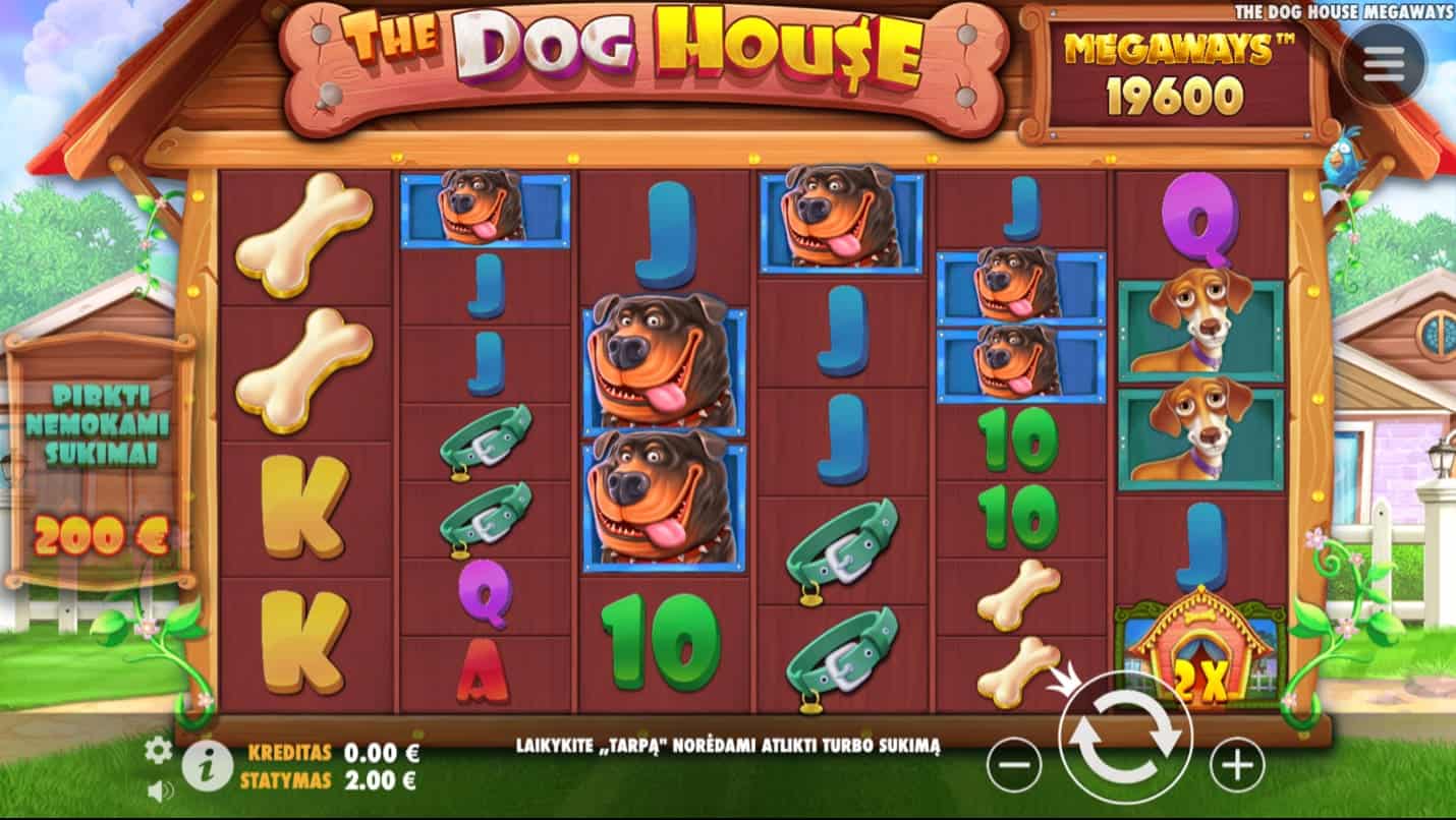 Rumah Hoki Si Anjing Lucu The Dog House Megaways OLE777