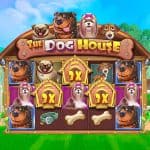 Keseruan Anjing Lucu Penuh Kejutan Terbaik di The Dog House